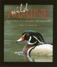  - Wild Maine: Discoveries of a Wildlife Photographer