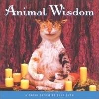 Джон Лунд - Animal Wisdom : More Animal Antics from John Lund
