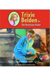 The Mysterious Visitor