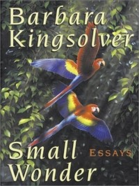  - Small Wonder: Essays