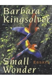  - Small Wonder: Essays