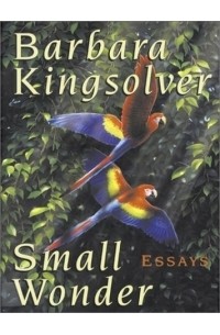 Barbara Kingsolver - Small Wonder (Walker Large Print Books)