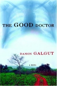 Damon Galgut - The Good Doctor