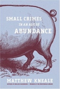 Matthew Kneale - Small Crimes in an Age of Abundance