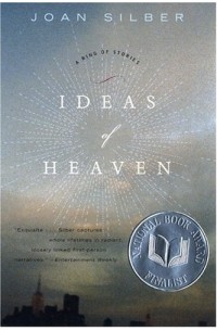 Джоан Силбер - Ideas of Heaven: A Ring of Stories