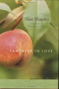 Алан Шапиро - Tantalus in Love : Poems