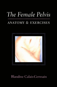 The Female Pelvis Anatomy & Exercises