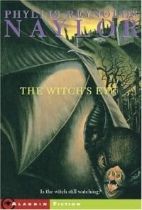 Phyllis Reynolds Naylor - The Witch's Eye