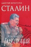 Дмитрий Верхотуров - Сталин. Экономическая революция