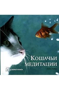 без автора - Кошачьи медитации