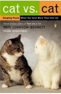 Cat Vs. Cat: Keeping Peace When You Have More Than One Cat