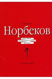 Мирзакарим Норбеков - Опыт дурака, или Где зимует миллион решений (сборник)