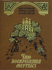Протоиерей Николай Агафонов - Чаю воскресения мертвых (сборник)