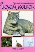  - Рисуем кошек. Шаг за шагом
