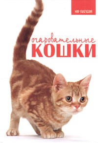 Карен Принс - Очаровательные кошки