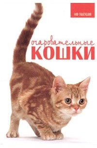 Карен Принс - Очаровательные кошки