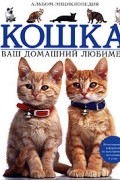 Кошка. Ваш домашний любимец