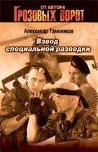 Александр Тамоников - Взвод специальной разведки