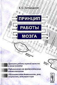 Е. С. Загородний - Принцип работы мозга