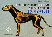 Питер К. Гуди - Топографическая анатомия собак