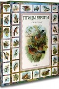 Птицы Европы (подарочное издание)