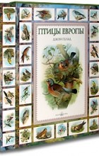 Джон Гульд - Птицы Европы (подарочное издание)