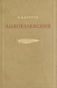 Валентин Догель - А. О. Ковалевский