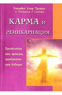  - Карма и реинкарнация. Преодолейте свое прошлое, преобразите свое будущее