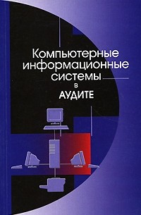  - Компьютерные информационные системы в аудите