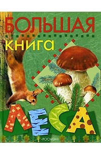 Л. Л. Стишковская - Большая книга леса