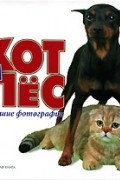  - Кот и пес. Лучшие фотографии