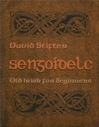 David Stifter - Sengoidelc: Old Irish for Beginners (Irish Studies)