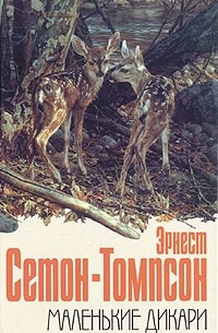 Эрнест Сетон-Томпсон - Маленькие дикари (сборник)