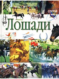 Струан Рейд - Лошади