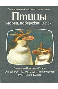 Птицы морей, побережий и рек
