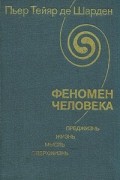 Тейяр де Шарден - Феномен человека. Преджизнь, жизнь, мысль, сверхжизнь