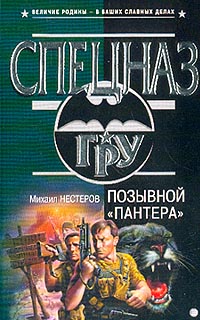 Нестеров М.П. - Позывной Пантера: Роман