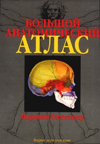  - Большой анатомический атлас