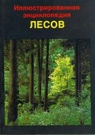 Ян Еник - Иллюстрированная энциклопедия лесов