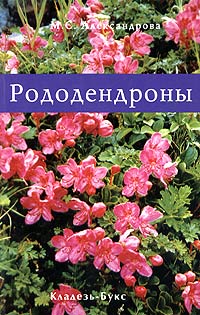 Мая Александрова - Рододендроны