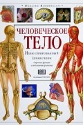 Человеческое тело. Строение, функции и заболевания организма. Иллюстрированный справочник