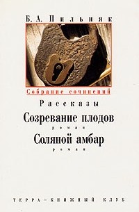 Б. А. Пильняк - Б. А. Пильняк. Собрание сочинений в 6 томах. Том 6: Рассказы; Созревание плодов; Соляной амбар (сборник)