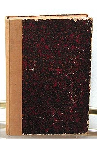 Ненормальности и уклоны в браке (об их причинах и борьбе с ними)