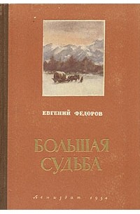 Евгений Федоров - Большая судьба