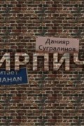 Данияр Сугралинов - Кирпичи