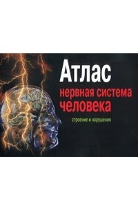 Атлас. Нервная система человека. Строение и нарушения