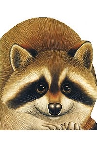 Про енота. Зверята