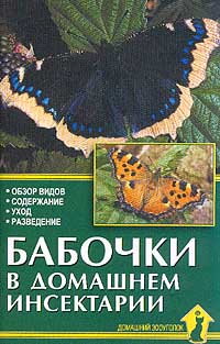  - Бабочки в домашнем инсектарии