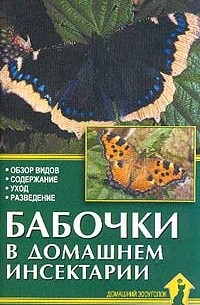  - Бабочки в домашнем инсектарии