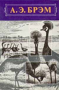Альфред Эдмунд Брем - Жизнь животных. В трех томах. Том 2. Птицы